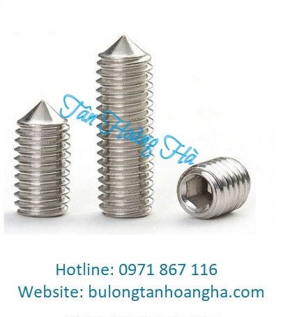 VÍT TRÍ LỤC GIÁC ĐẦU NHỌN 201 - 304